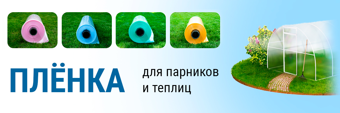 Плёнка